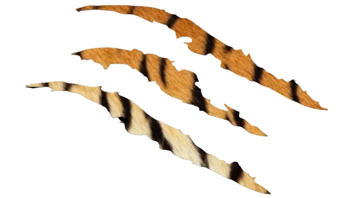 WHITEEETIGER
